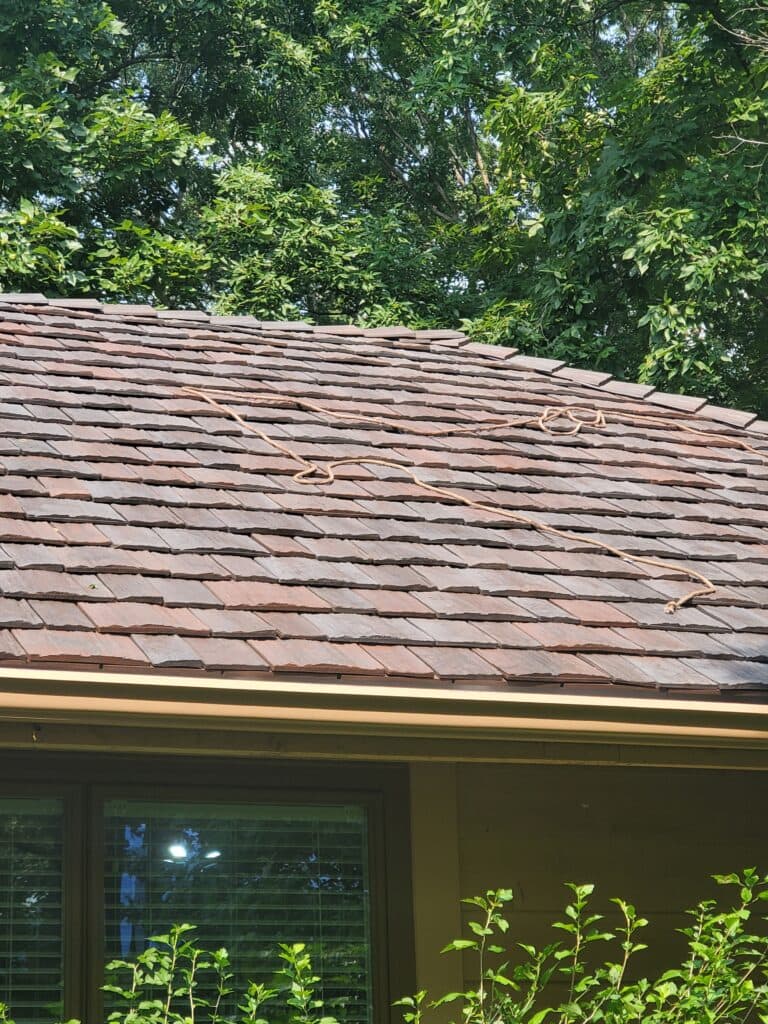 Choose The Best Gutter Installer Near You In St. Louis, MO