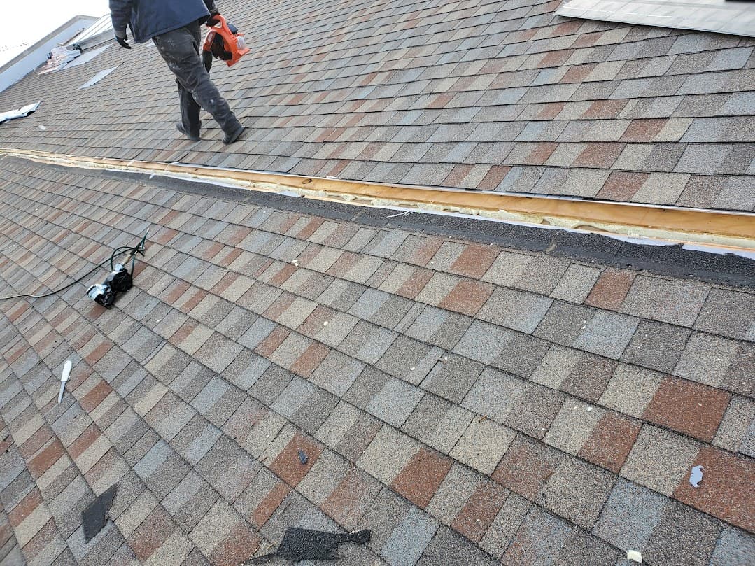 DIY Vs Professional Roof Repairs: What You Need To Know