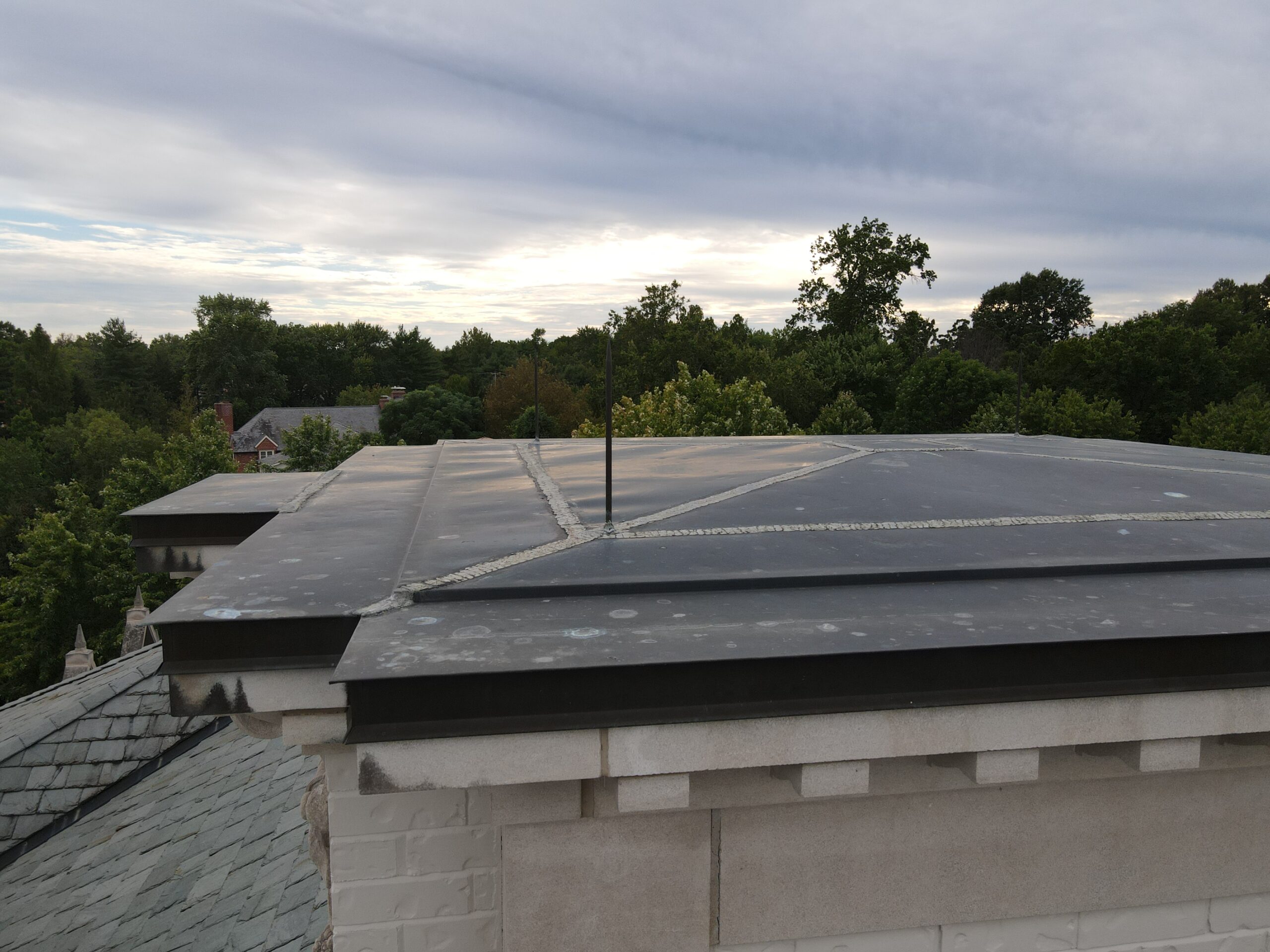 roofing professional 